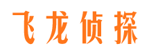 宾县侦探